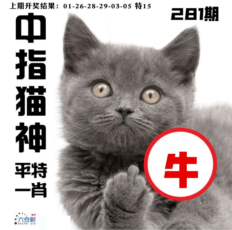 中指猫神 第280期