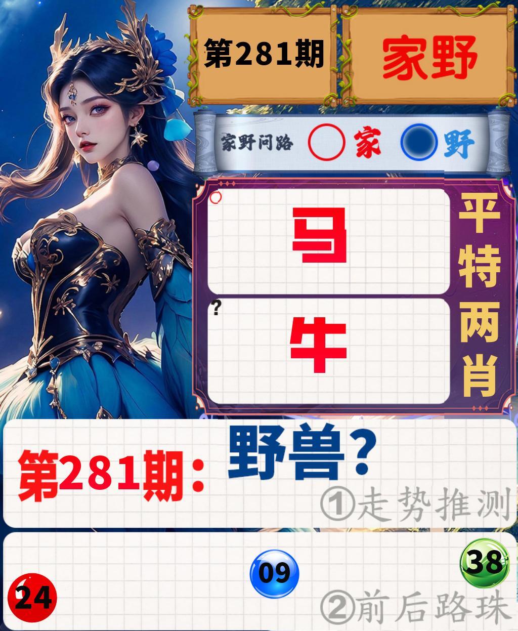 家野问路 第281期