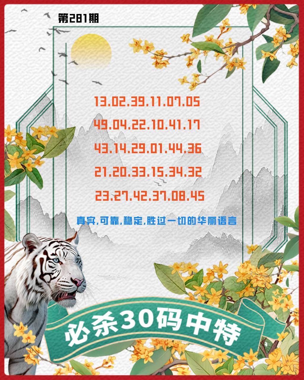 白虎杀30码 第281期