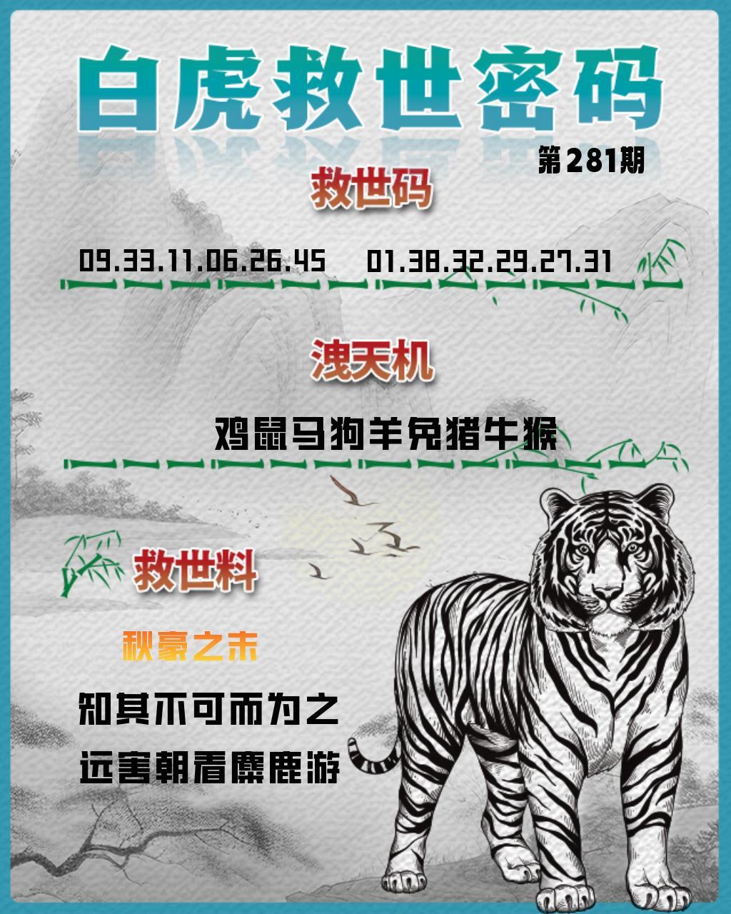 白虎救世密码 第281期