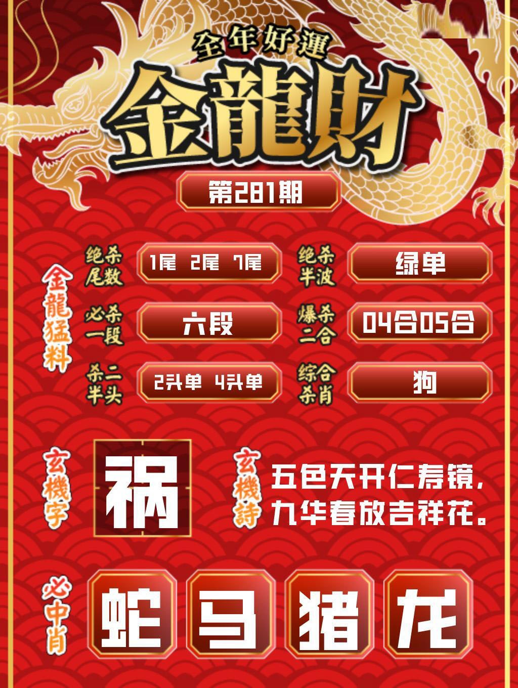 金龙财报 第280期
