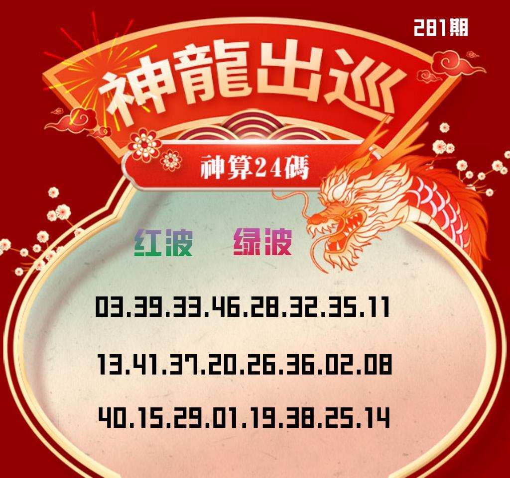 金龙双波24码 第280期