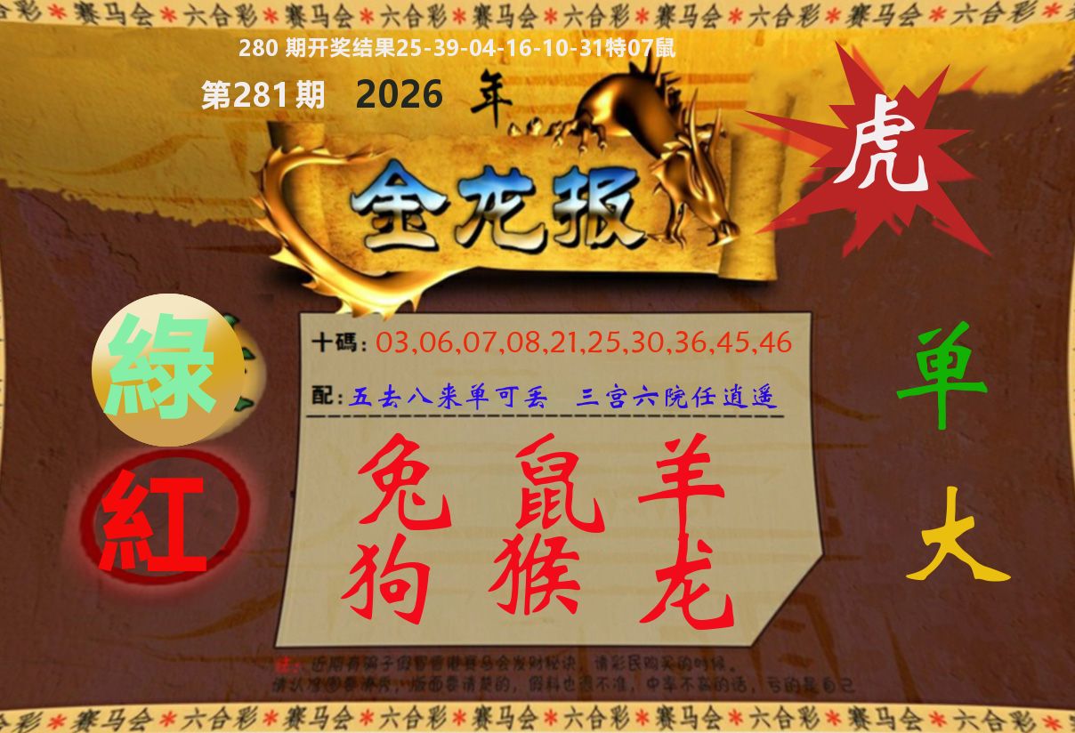 金龙报 第281期