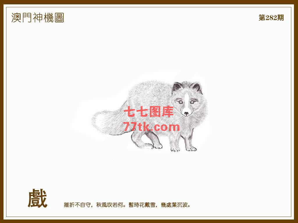 神机图 第282期