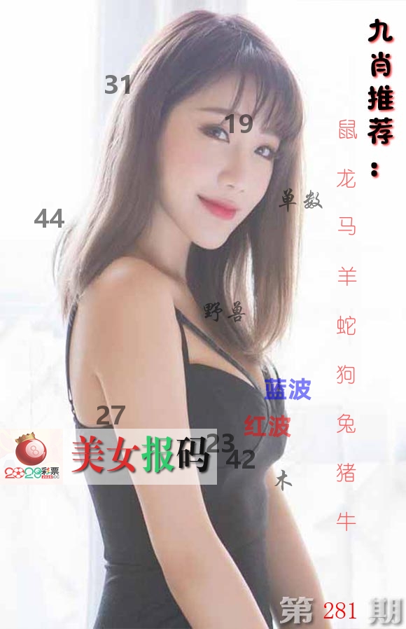 美女报码 第281期