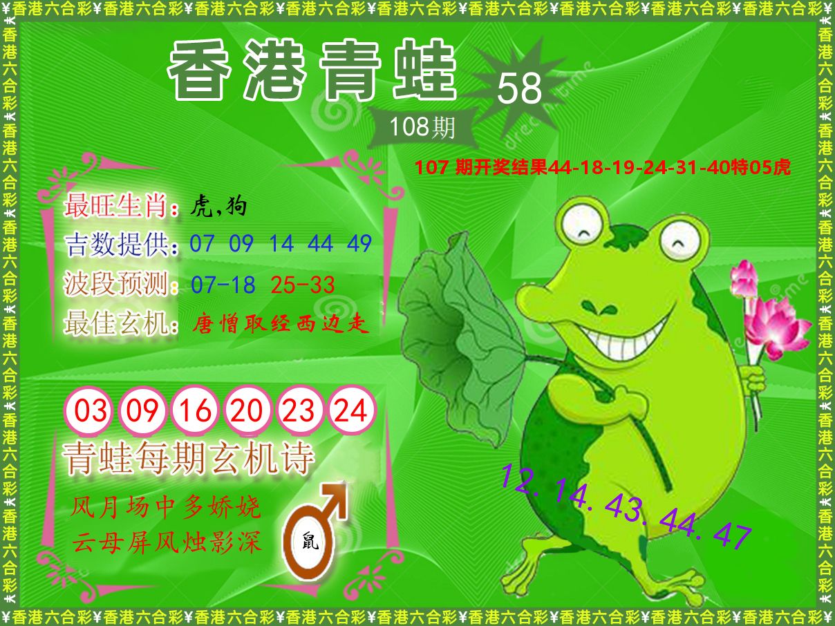 青蛙系列58 第108期
