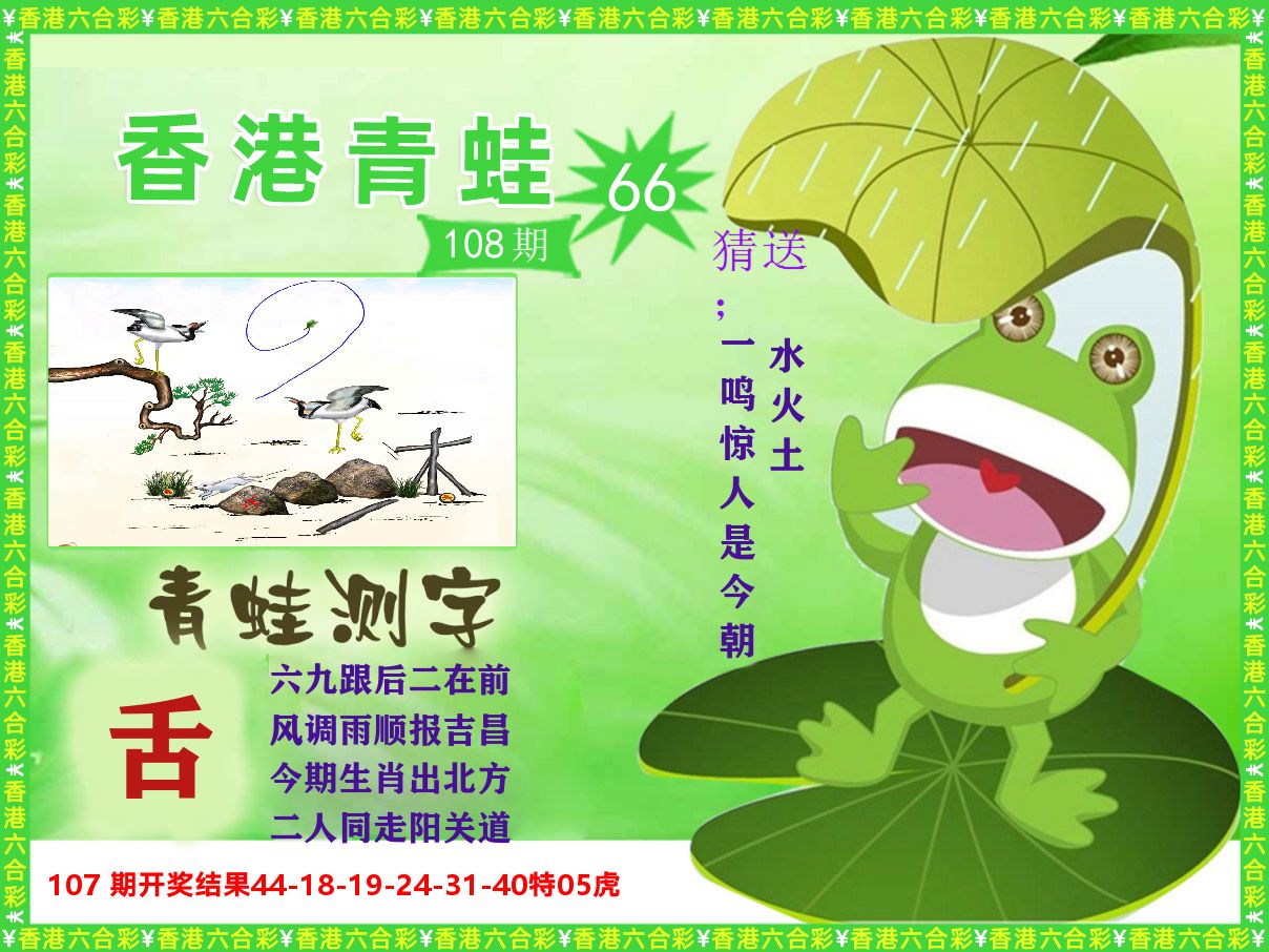 青蛙系列66 第108期