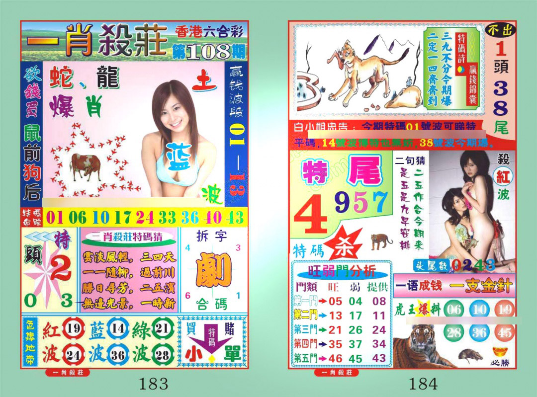 一肖杀庄 第108期