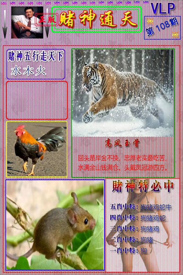 赌神通天报 第108期