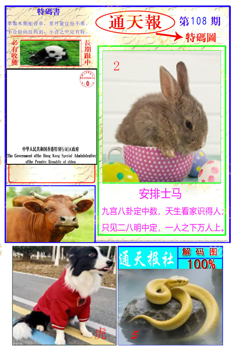 通天特解图 第108期