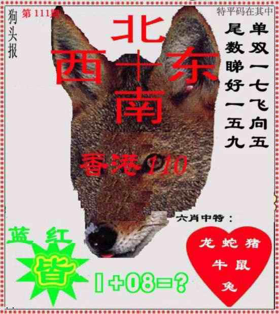 狗头报 第111期