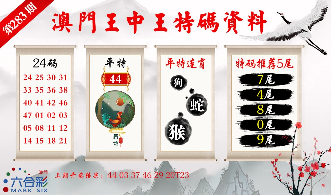 王中王特码料 第282期