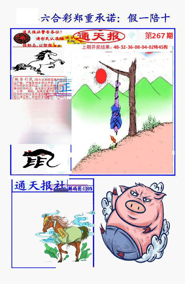 通天报 第267期
