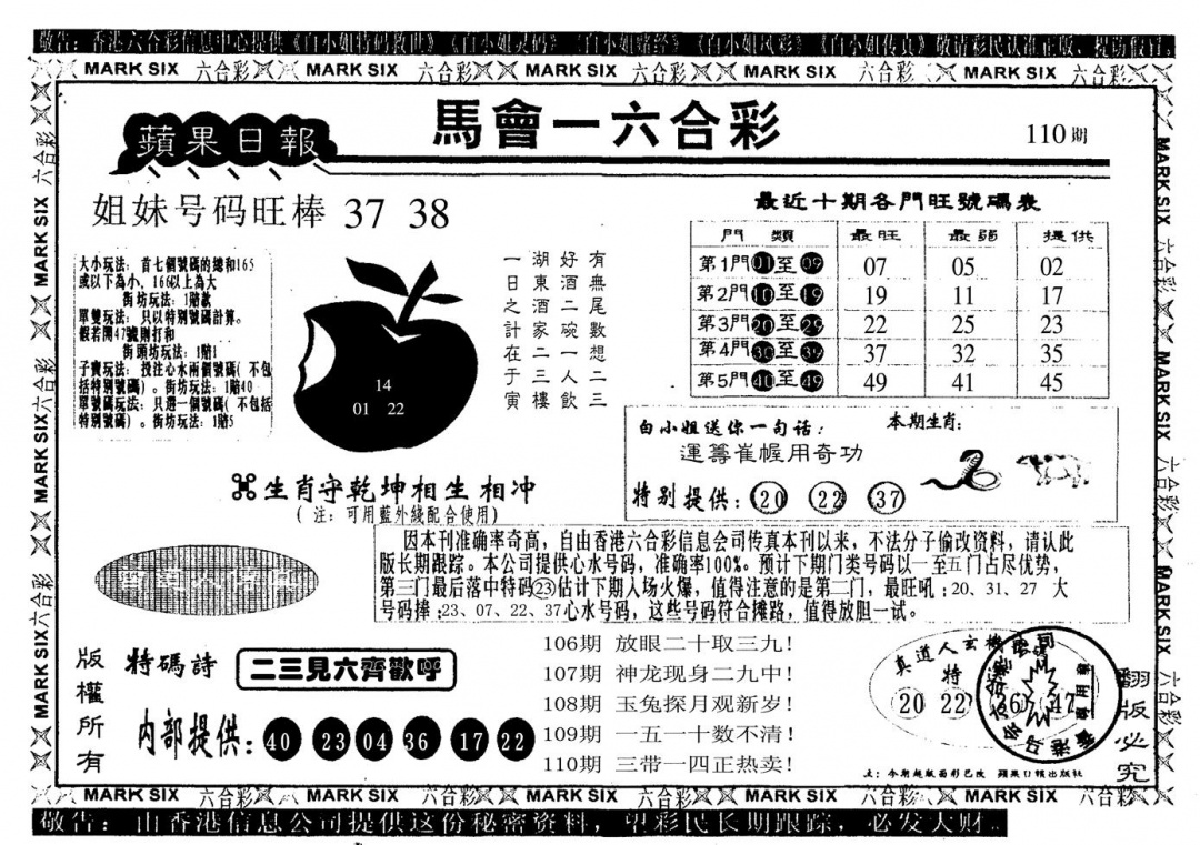 苹果日报 第110期