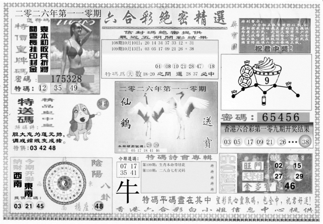 白姐绝密精选A 第110期