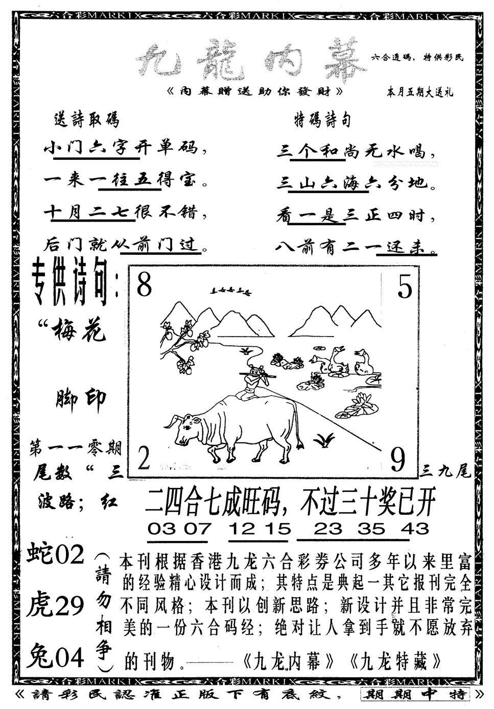 九龙内幕B 第110期