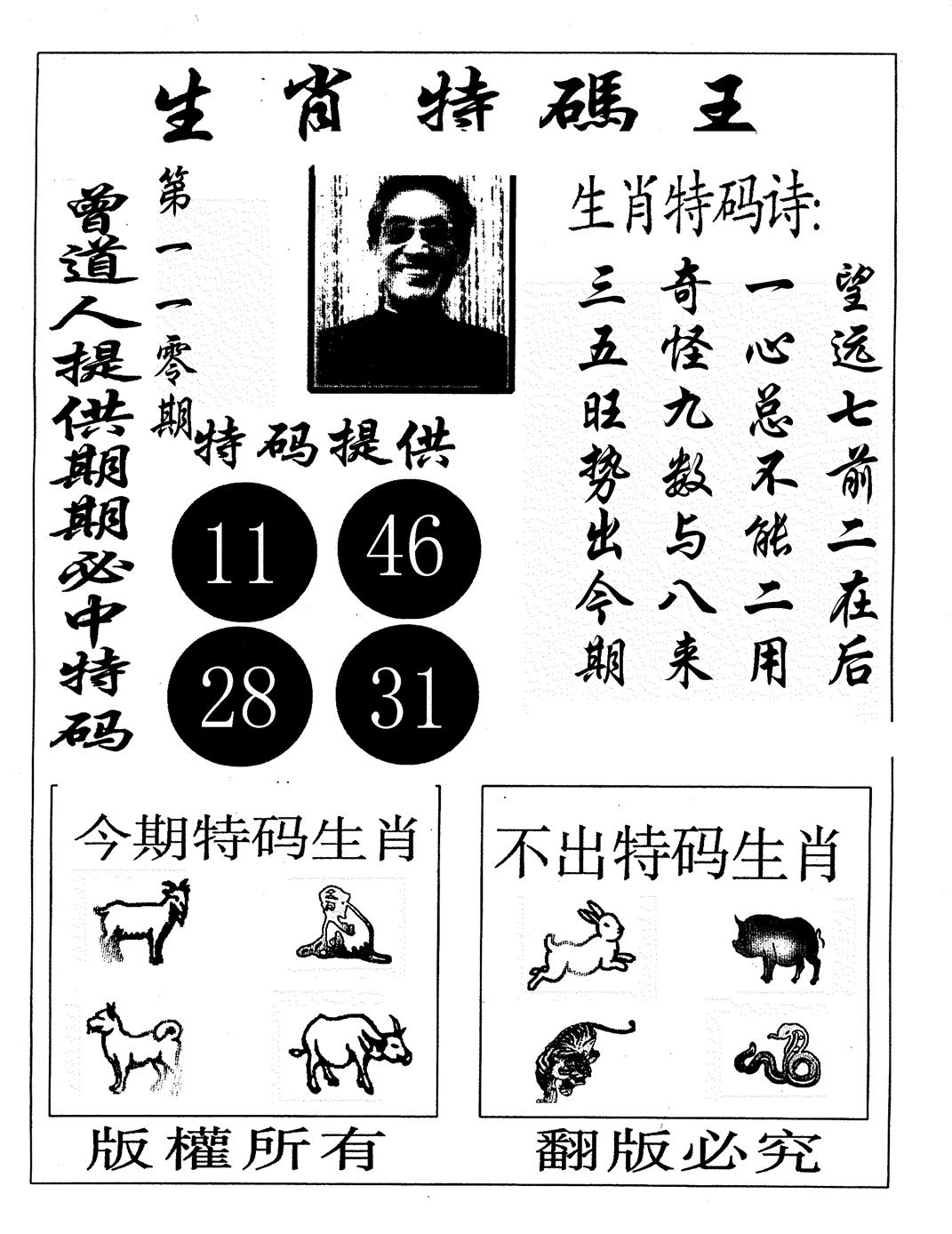 另生肖特码王 第110期