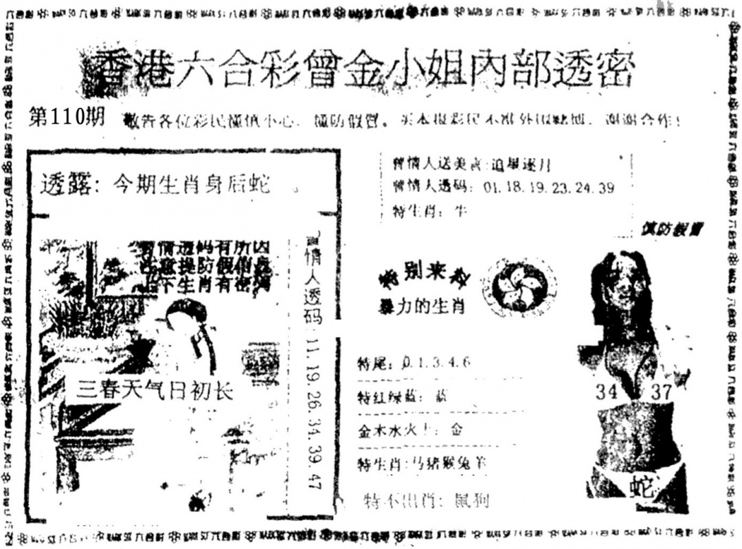 曾金小姐A 第110期