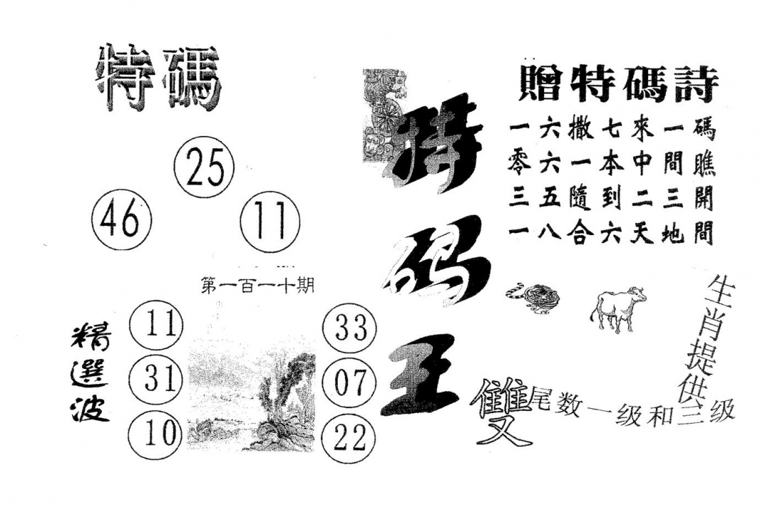 特码王B 第110期