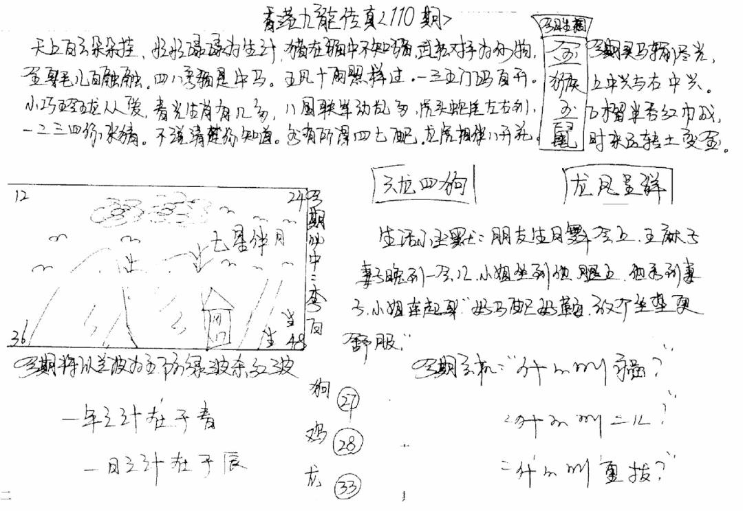 手写九龙内幕B 第110期