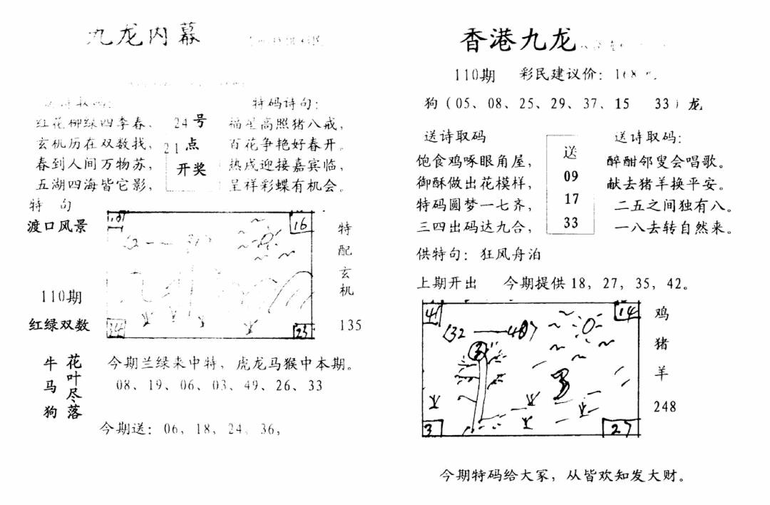 九龙内幕--开奖报 第110期