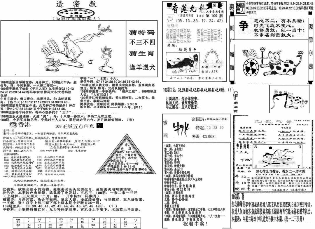 新透密数B(新) 第109期