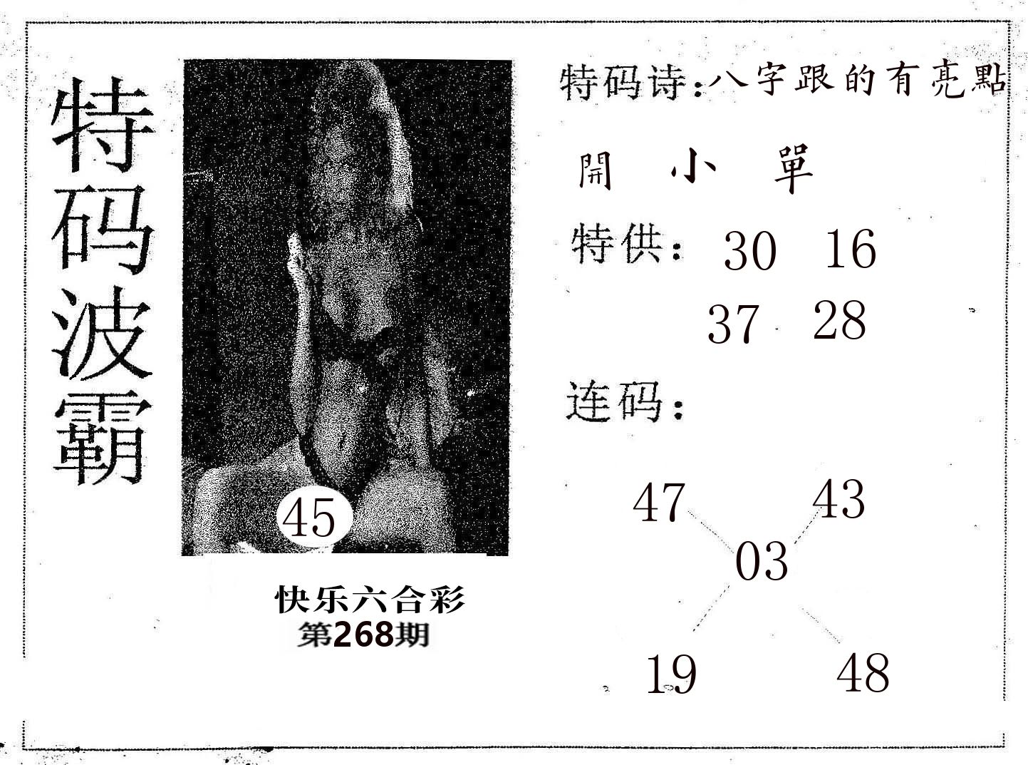 特码波霸 第268期